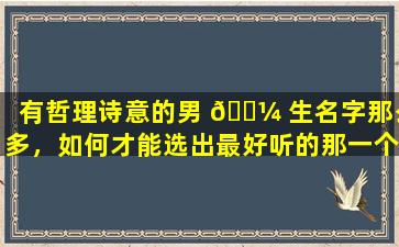 有哲理诗意的男 🐼 生名字那么多，如何才能选出最好听的那一个